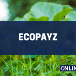 ecoPayz - Beitragsbild