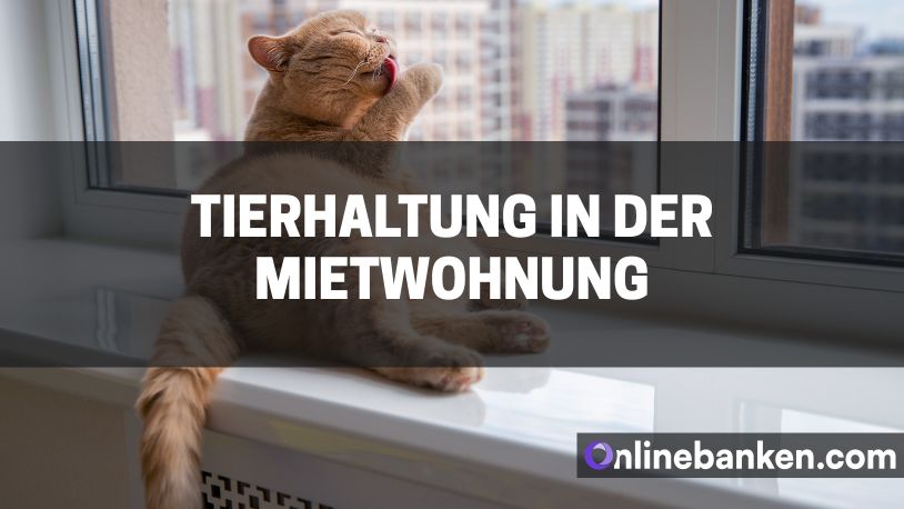 Tierhaltung in der Mietwohnung – alles Wissenswerte (Beitragsbild)