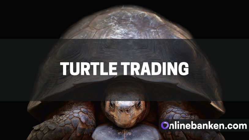 Was ist Turtle Trading? (Beitragsbild)